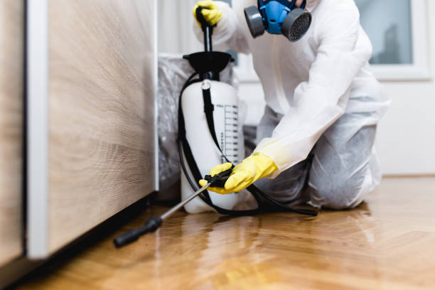 Best Ant Control Services  in Champion Heights, OH