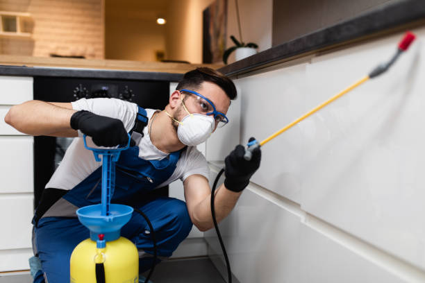 Best Flea Control Services  in Champion Heights, OH