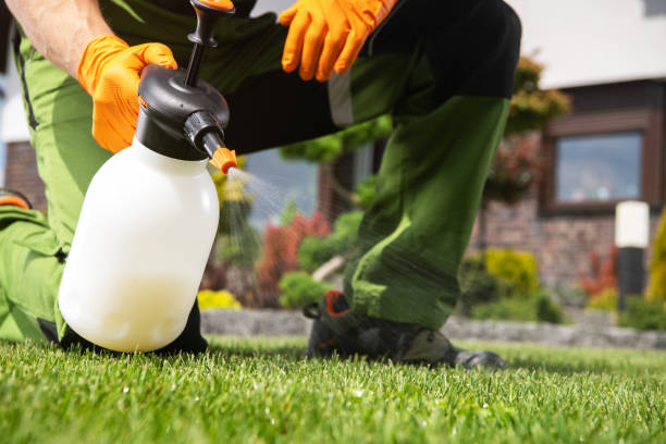 Best Emergency Pest Control  in Champion Heights, OH