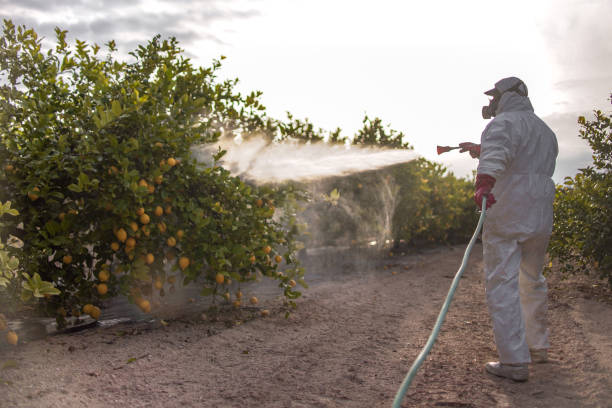 Insect Control in Champion Heights, OH