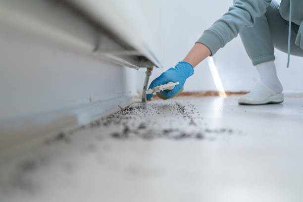 Best Residential Pest Control  in Champion Heights, OH
